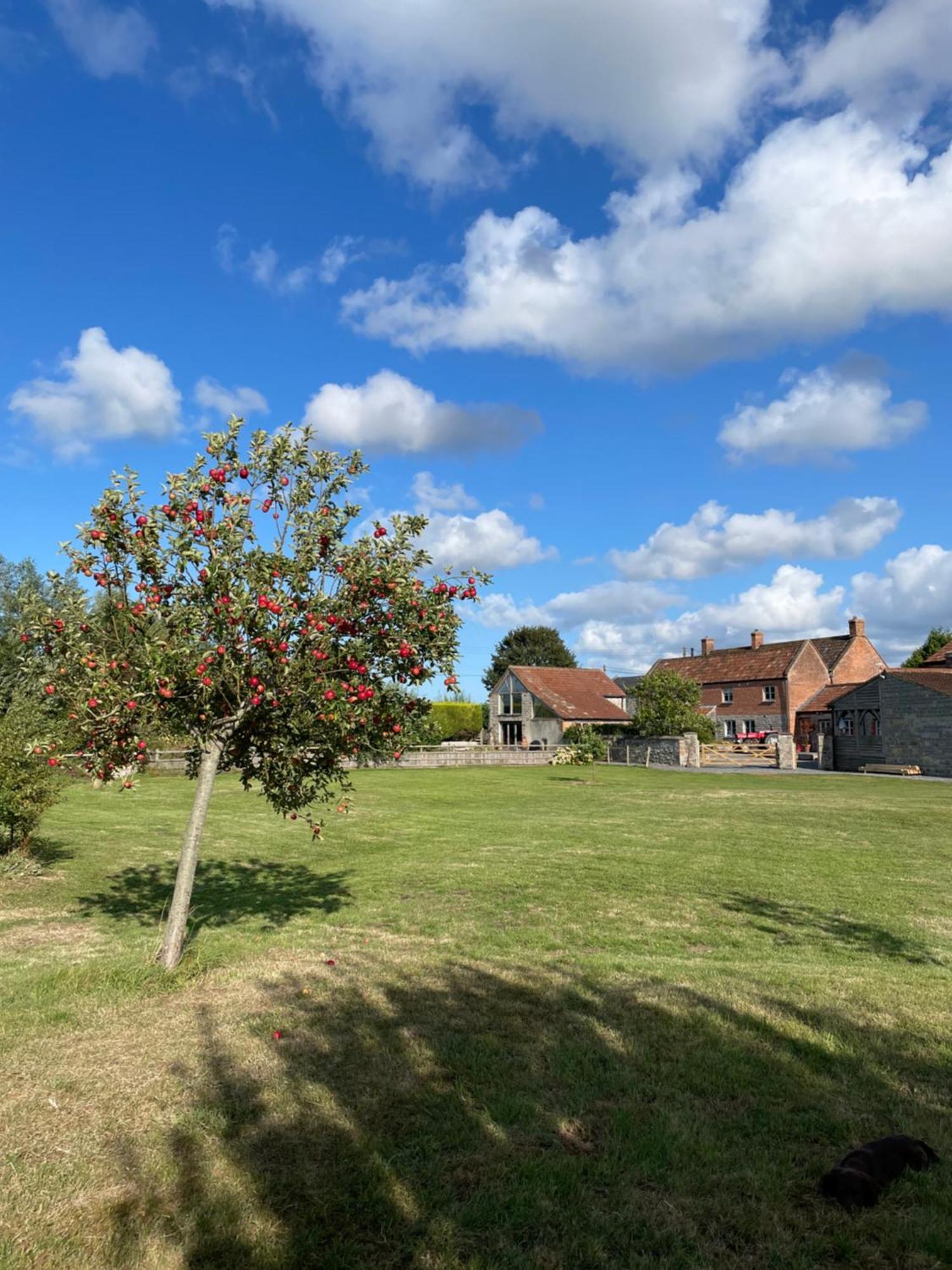 The Hayloft At Stathe Farm Villa Bridgwater Bagian luar foto