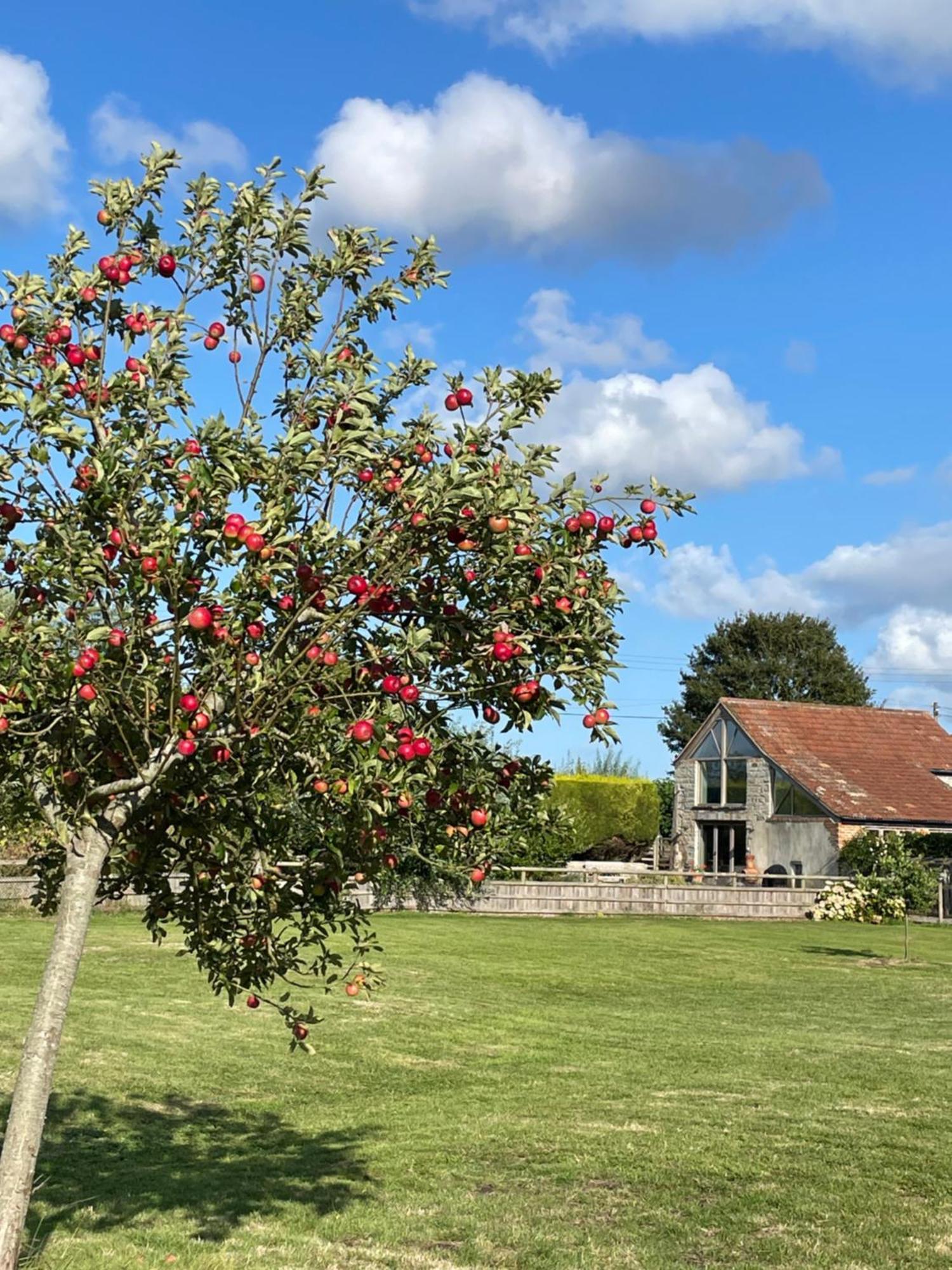 The Hayloft At Stathe Farm Villa Bridgwater Bagian luar foto