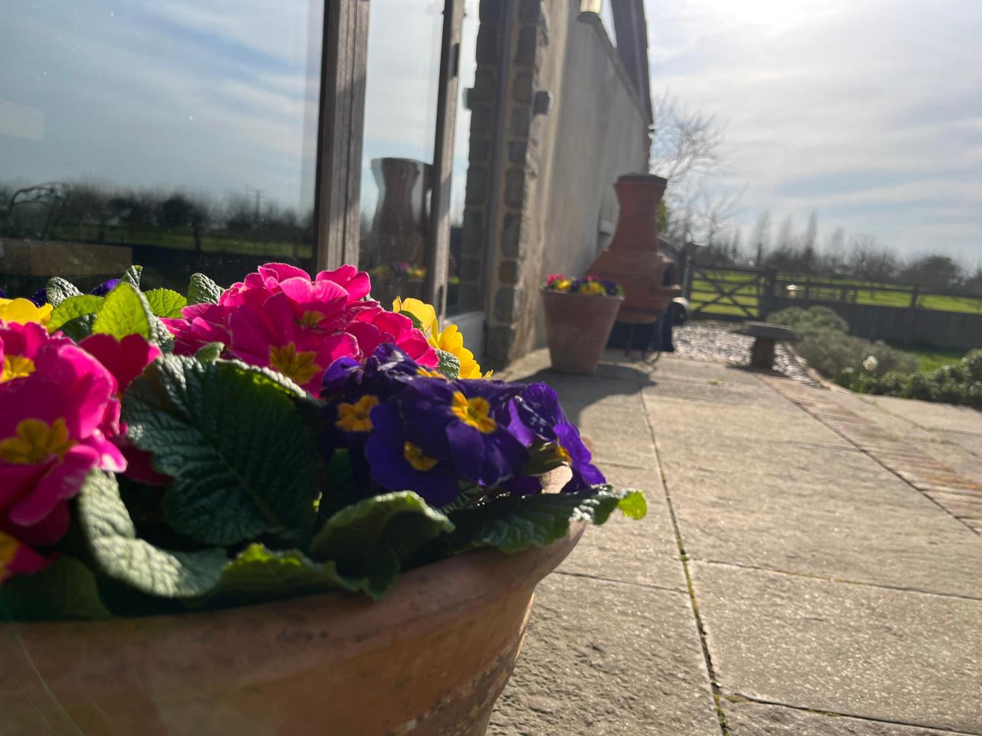 The Hayloft At Stathe Farm Villa Bridgwater Bagian luar foto